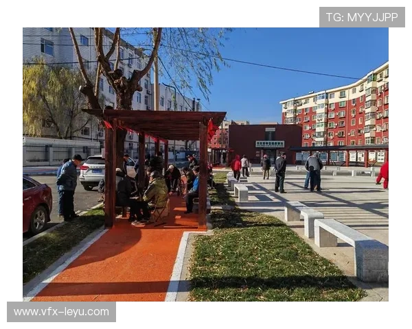 老年友好设计融入场馆改造,通过适老化设施提升包容性 老年友好设计融入场馆改造,通过适老化设施提升包容性